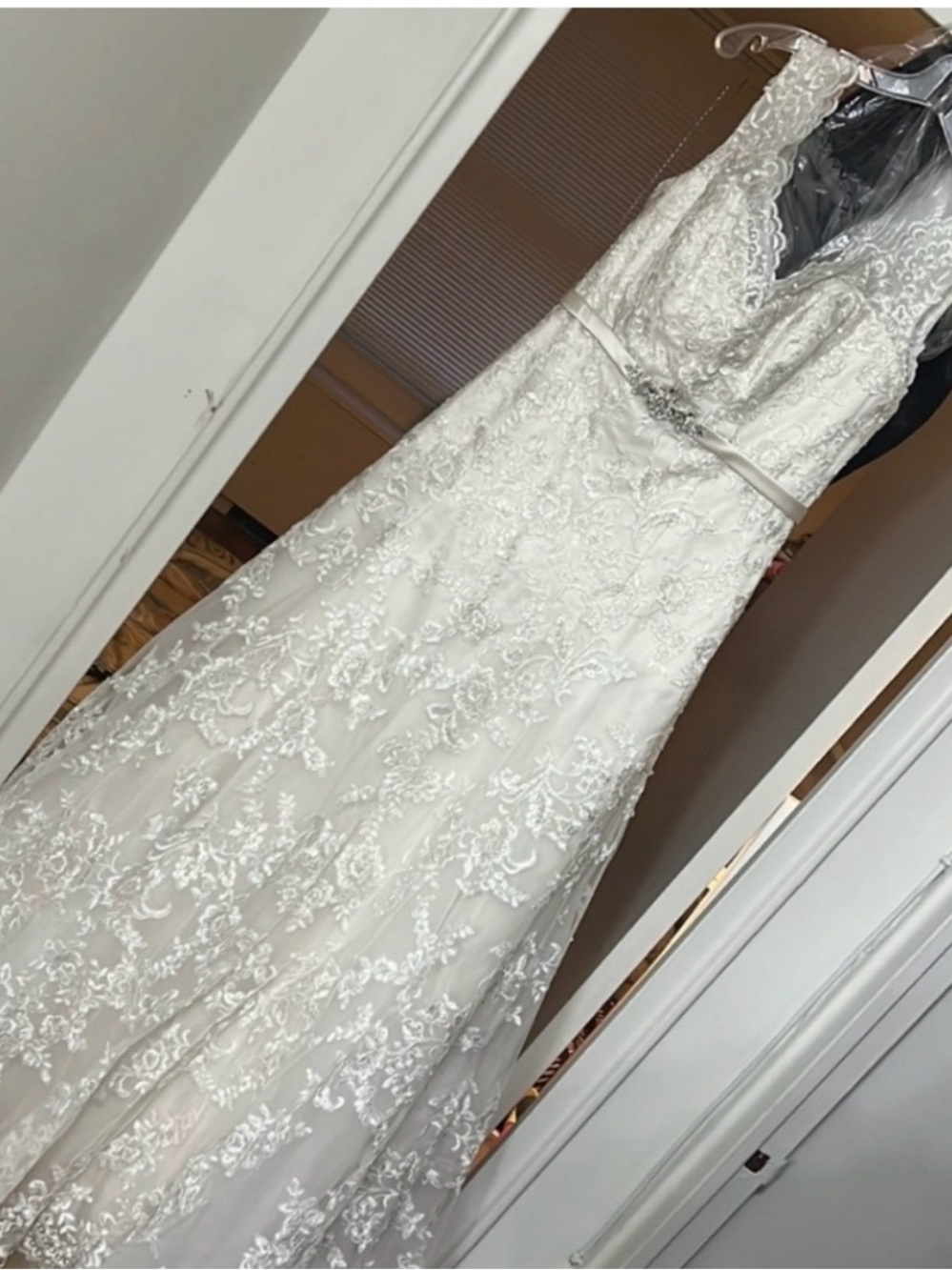 Elegant Ivory/Oyster Lace Wedding Dress with Belt - Picture 8 of 9